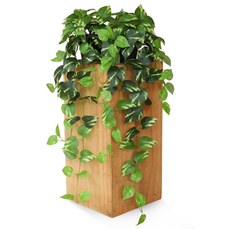 alyptus Fake Pothos Hanging Plants - 33" Set of 2 Artificial Silk Ivy Vines with Pots, Realistic Faux Greenery for Indoor Home Office Bathroom Decor, Low Maintenance Hanging Plant Decoration - Golden Green - Image 2