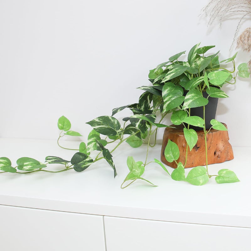 alyptus Fake Pothos Hanging Plants - 33" Set of 2 Artificial Silk Ivy Vines with Pots, Realistic Faux Greenery for Indoor Home Office Bathroom Decor, Low Maintenance Hanging Plant Decoration - Golden Green - Image 5