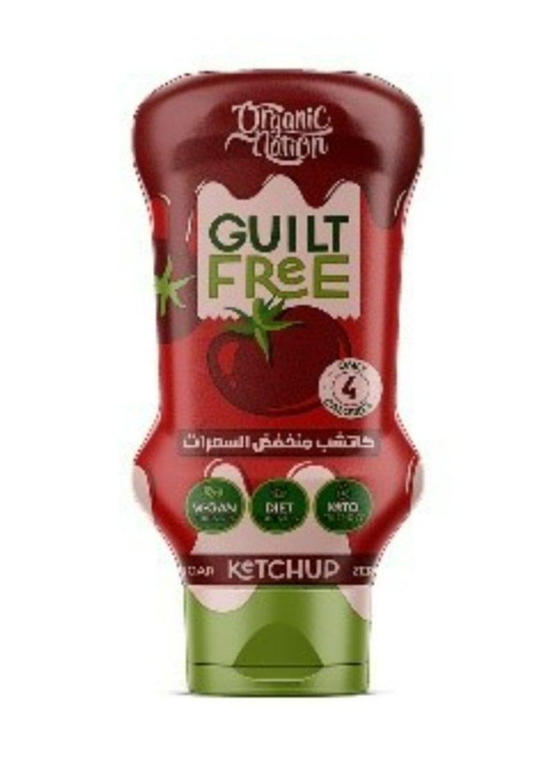 اورجانيك نيشن كاتشب جيلت فري - خالي من السكر المضاف - 350 مل