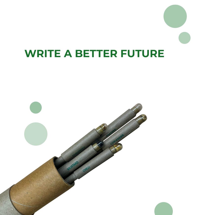clayherbs (Pack-30 Blue Ink Pen | Return Gift | Corporate Gifting | Sustainable Pens | Eco-Friendly | Paper Pens | Biodegradable | Plantable Seeds | Bulk Pen For Hotels, Office and Schools - Image 5