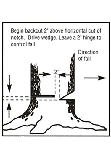 TIPU Felling Wedge for Safe Tree Cutting, 6 Pack: 8"(3-Pack)/5.5"(3-Pack), Tree Felling Wedge to Guide Trees Stabilize and Safely to Ground for Loggers and Fallers - Image 5