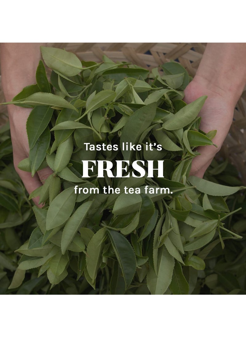 الإمبراطورية أوسيترا - شاي أخضر عضوي منزوع الكافيين من Uncle Lee's Tea، أكياس شاي أخضر فاخرة طبيعية 100%، - Image 1
