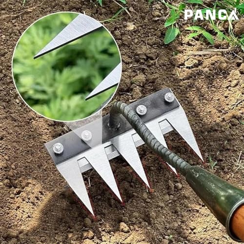 PANCA 5 Teeth Garden Rake Heavy Duty Carbon Steel Rake Handle for Soil Loosening, Weeding, Lawn & Yard Cleaning – Multipurpose Outdoor Gardening Tool for Home Farm & Agricultural Use - Image 2