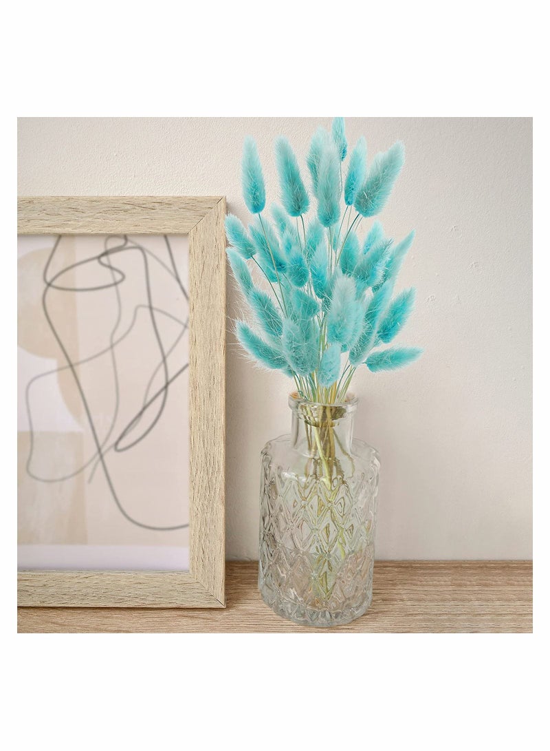 Y&D Natural Bunny Tails Dried Flowers, 70 Pcs Lagurus Ovatus, Pampas Grass Decor for Farmhouse Flower Arrangements Wedding Home Boho Party Decorations(Tiff Blue) - Image 2