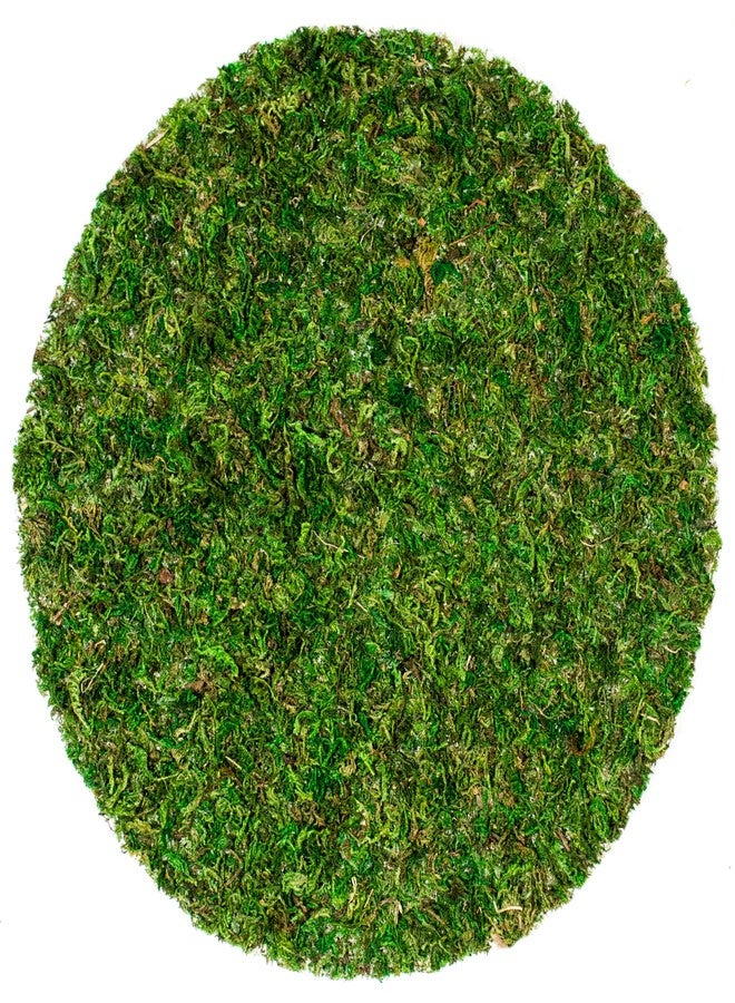SuperMoss (26320) Moss Soil Toppers (Place Mats), Fresh Green, 14" (3 units) - Image 1
