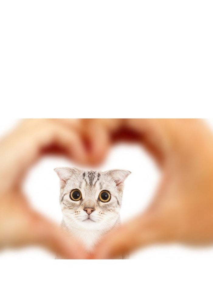 SANAL Sanal cat fish trio 75g  - Image 3