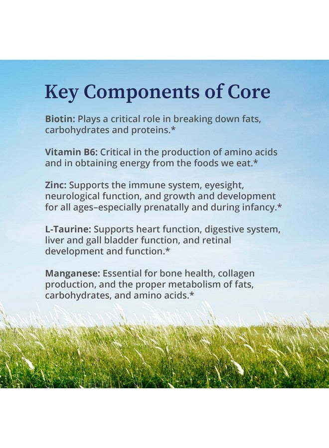 BioPure Core Mineral Supplement - Highly Bioavailable Minerals, Vitamins and Amino Acids to Support Nutritional Maintenance, Optimize Metabolism, and Promote Overall Well-Being - 240 Capsules - Image 5