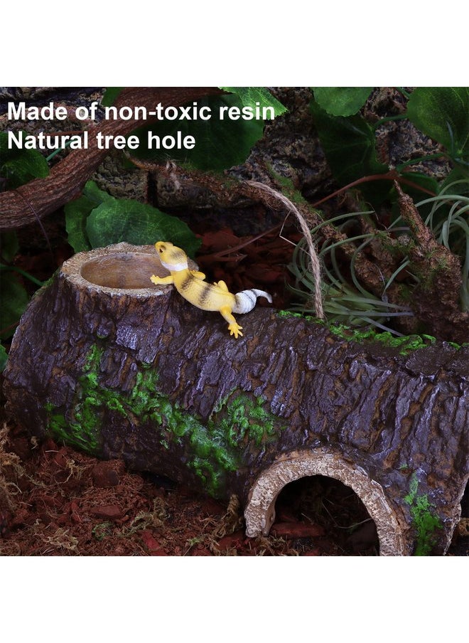 ايسيوو كهف AIICIOO Leopard Gecko Hide Cave - مجموعة تررم طبيعية للزواحف مخبأ للزواحف للسلاحف والسحالي والثعابين وسرطان البحر الناسك مخبأ صغير  - Image 2