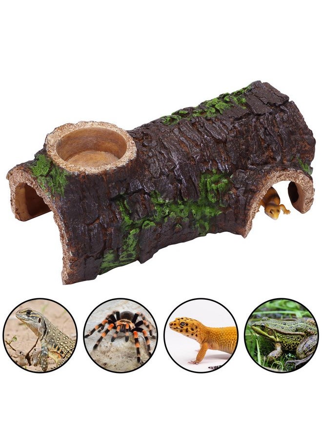 ايسيوو كهف AIICIOO Leopard Gecko Hide Cave - مجموعة تررم طبيعية للزواحف مخبأ للزواحف للسلاحف والسحالي والثعابين وسرطان البحر الناسك مخبأ صغير  - Image 3
