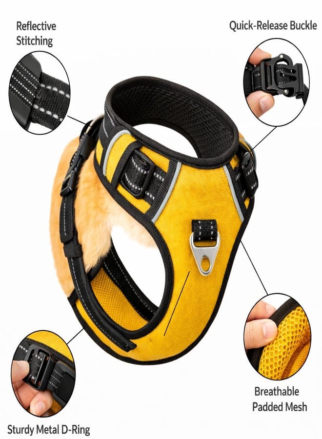 Berlin's PET ACCESSORIES Berlin's No Pull Dog Harness for Large, Medium & Small Dogs | Reflective Oxford Vest | Soft Padded Chest Belt | Easy Control | Anti-Choke Dog Belt for Walking & Training (Golden, Large) - Image 5