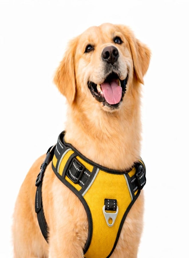 Berlin's PET ACCESSORIES Berlin's No Pull Dog Harness for Large, Medium & Small Dogs | Reflective Oxford Vest | Soft Padded Chest Belt | Easy Control | Anti-Choke Dog Belt for Walking & Training (Golden, Large) - Image 1