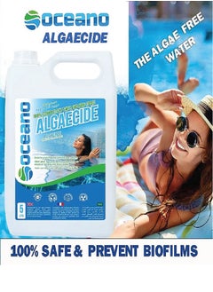 Oceano Oceano Algaecide 5ltr - 100% Natural - Non toxic - Biodegradable  & Safe  - Image 4