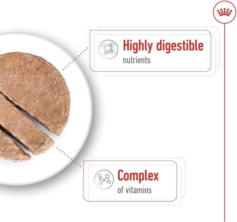 Royal Canin Mini Adult Wet Dog Food - 12 x 195g - Image 4