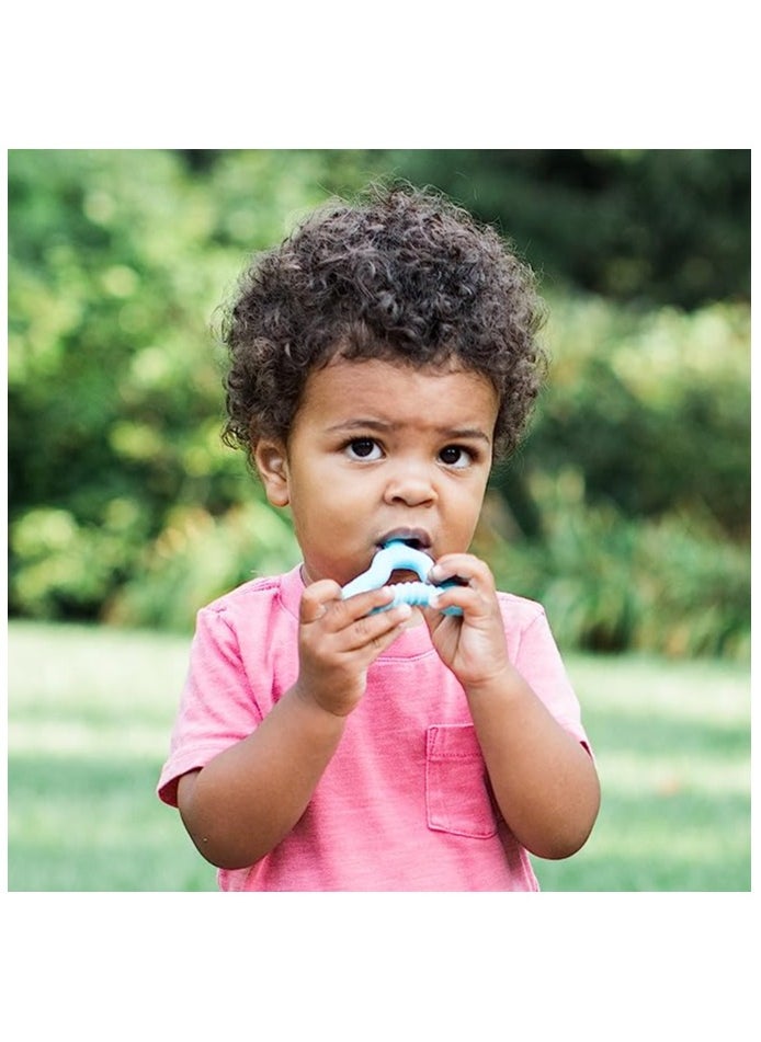 green sprouts Molar Teether-Aqua-12mo+  - Image 2