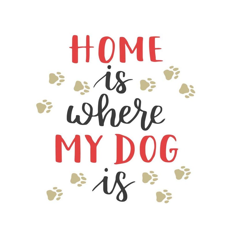 5 Ace home is where my dog Wall Sticker Poster|size:12x18 inch|multicolor - Image 4