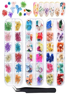 EBANKU 132Pcs 3D Dried Flowers Nail Art Decals 3 Boxes Colorful Dried Gypsophila Daisy Hydrangea Flowers Nail Art Stickers With 1 Tip Tweezers  Nail Art Little Pressed Real Natural Flower Nail Art Design Decoration Supplies  - Image 1