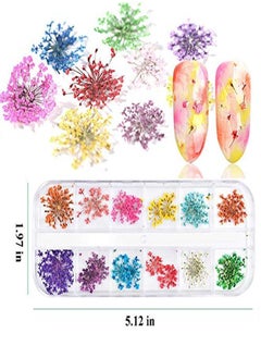 EBANKU 132Pcs 3D Dried Flowers Nail Art Decals 3 Boxes Colorful Dried Gypsophila Daisy Hydrangea Flowers Nail Art Stickers With 1 Tip Tweezers  Nail Art Little Pressed Real Natural Flower Nail Art Design Decoration Supplies  - Image 2
