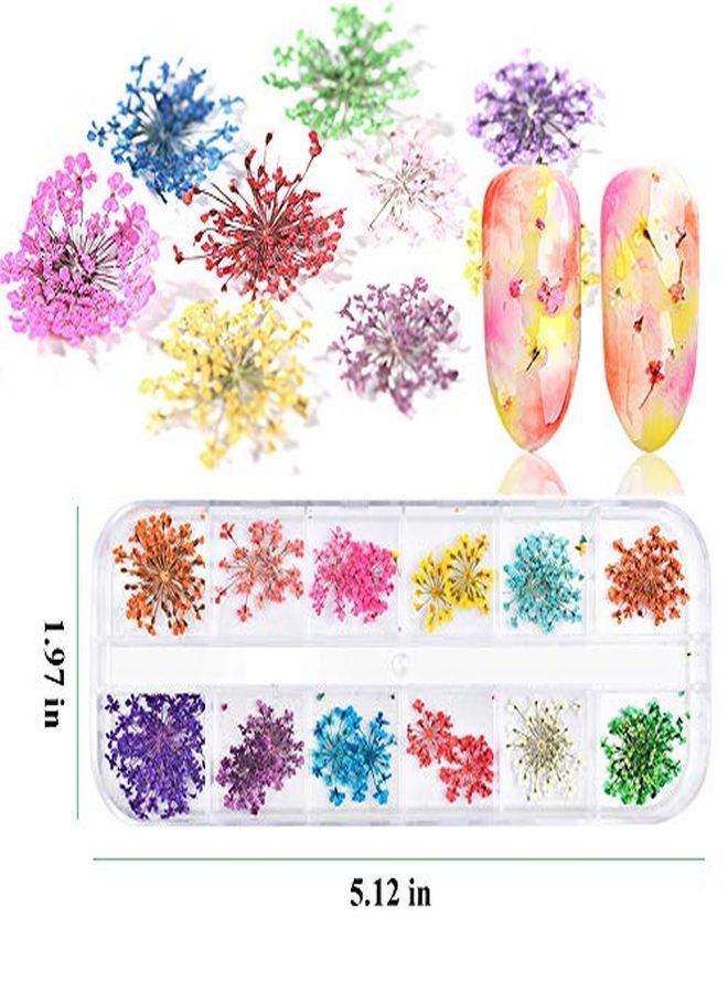 EBANKU 132Pcs 3D Dried Flowers Nail Art Decals 3 Boxes Colorful Dried Gypsophila Daisy Hydrangea Flowers Nail Art Stickers With 1 Tip Tweezers  Nail Art Little Pressed Real Natural Flower Nail Art Design Decoration Supplies  - Image 2