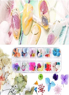 EBANKU 132Pcs 3D Dried Flowers Nail Art Decals 3 Boxes Colorful Dried Gypsophila Daisy Hydrangea Flowers Nail Art Stickers With 1 Tip Tweezers  Nail Art Little Pressed Real Natural Flower Nail Art Design Decoration Supplies  - Image 3