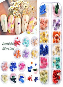 EBANKU 132Pcs 3D Dried Flowers Nail Art Decals 3 Boxes Colorful Dried Gypsophila Daisy Hydrangea Flowers Nail Art Stickers With 1 Tip Tweezers  Nail Art Little Pressed Real Natural Flower Nail Art Design Decoration Supplies  - Image 4