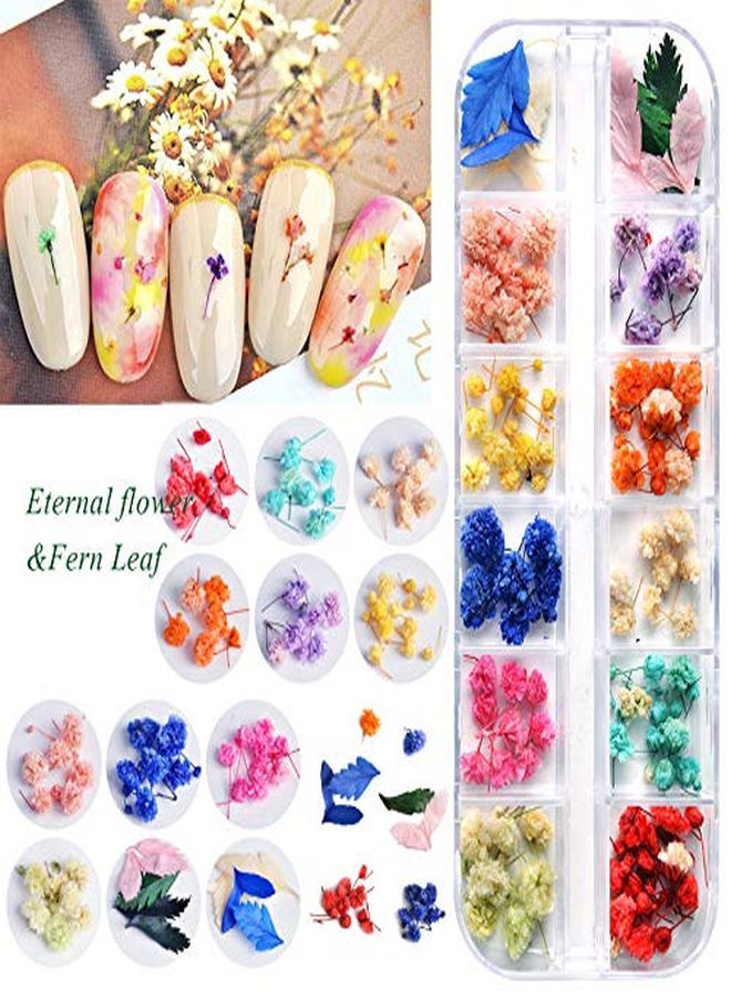 EBANKU 132Pcs 3D Dried Flowers Nail Art Decals 3 Boxes Colorful Dried Gypsophila Daisy Hydrangea Flowers Nail Art Stickers With 1 Tip Tweezers  Nail Art Little Pressed Real Natural Flower Nail Art Design Decoration Supplies  - Image 4