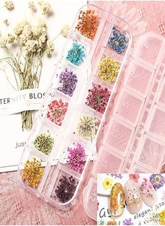 EBANKU 132Pcs 3D Dried Flowers Nail Art Decals 3 Boxes Colorful Dried Gypsophila Daisy Hydrangea Flowers Nail Art Stickers With 1 Tip Tweezers  Nail Art Little Pressed Real Natural Flower Nail Art Design Decoration Supplies  - Image 5
