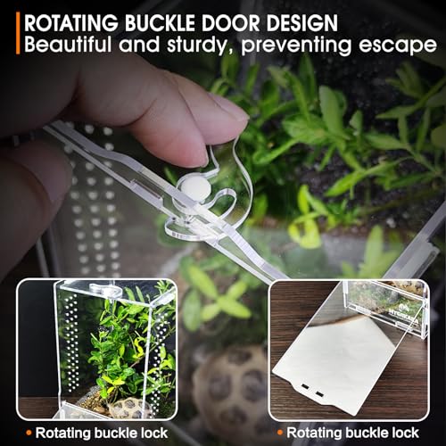 MYGIIKAKA Acrylic Jumping Spider Habitat, Insect Terrarium, Bug Enclosure, Praying Mantis Habitat, Frog Enclosure - Image 5