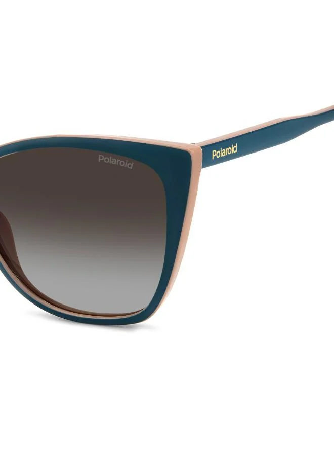 Polaroid  Cat_Eye Sunglasses for Women | Best Price UAE