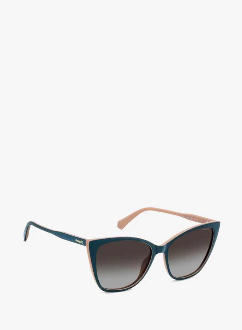 Polaroid  Cat_Eye Sunglasses for Women | Best Price UAE