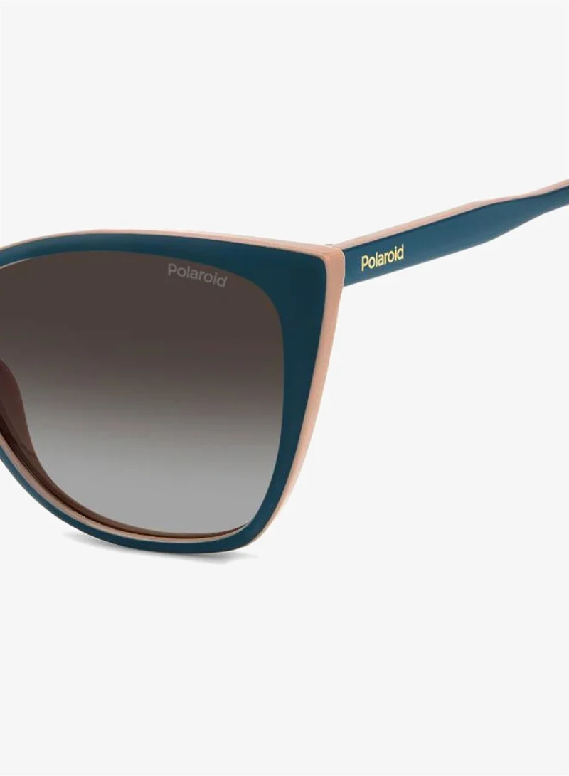 Polaroid  Cat_Eye Sunglasses for Women | Best Price UAE