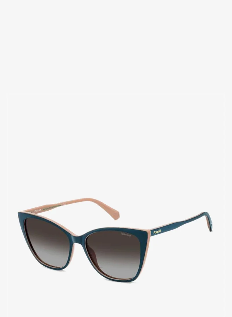 Polaroid  Cat_Eye Sunglasses for Women | Best Price UAE