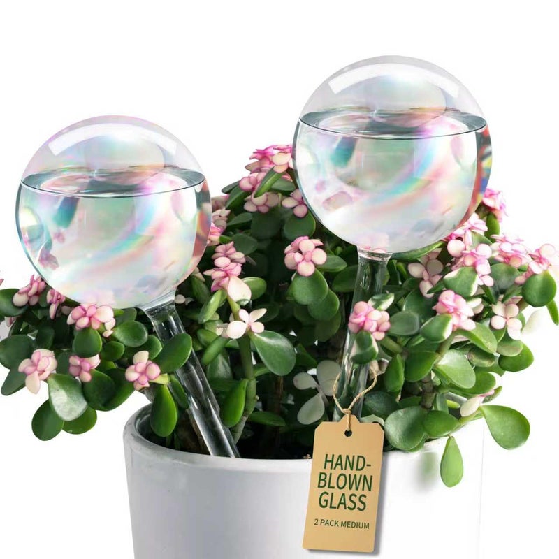 Soilagua Extra-Thick Clear Glass Plant Watering Globes, Rainbow Gradient Self Watering Globes, Automatic Plant Waterer, Self Watering Planter Insert Spikes Devices for Everyday or Vacation Use, 2-Pack - Image 1