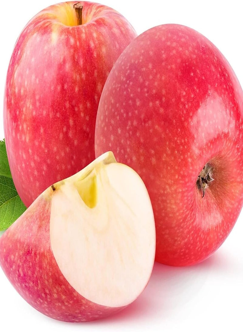 GGOOT 20 Premium Pink Lady Fuji Gala Apple Seeds, Tasty & High Yield, Non-GMO Heirloom Fruit Seeds to Plant Garden Outdoor, Attract Pollinators - Image 1