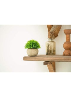 Generic 2Pcs Mini Artificial Potted Plants,Fake Bonsai Ball Plant Small Faux Greenery for Home Office Bathroom Kitchen and Outdoor Decor , Green  - Image 5