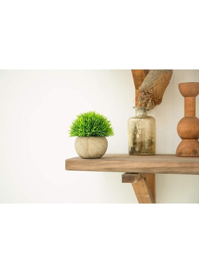 Generic 2Pcs Mini Artificial Potted Plants,Fake Bonsai Ball Plant Small Faux Greenery for Home Office Bathroom Kitchen and Outdoor Decor , Green  - Image 5
