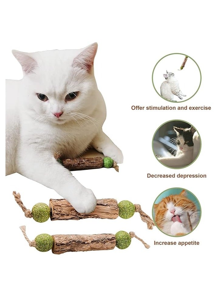 عام عصا من الفضية للقطط، 5 عصاف لتنظيف أسنان القطط الصغيرة، تساعد في العناية بأسنان القطط الصغيرة، تزيد من شهية القط، تهدئ من قلق وتوتر القط، مناسب لجميع أنواع القطط. - Image 2