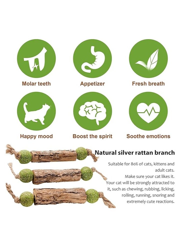 عام عصا من الفضية للقطط، 5 عصاف لتنظيف أسنان القطط الصغيرة، تساعد في العناية بأسنان القطط الصغيرة، تزيد من شهية القط، تهدئ من قلق وتوتر القط، مناسب لجميع أنواع القطط. - Image 3