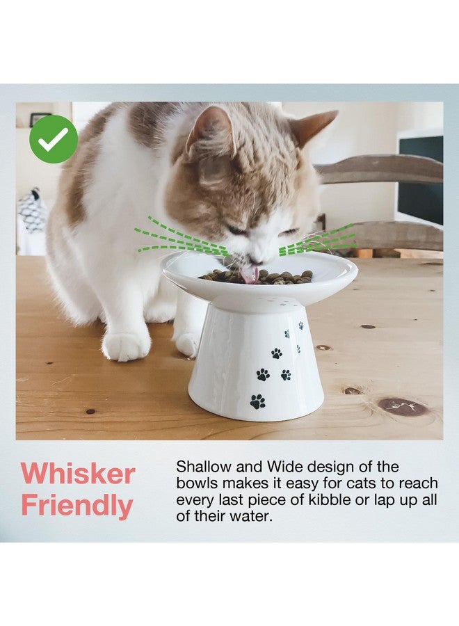 Necoichi Extra Wide Raised Cat Food Bowl, Elevated, Prevent Neck & Whisker Fatigue, Dishwasher and Microwave Safe, No.1 Seller in Japan! (Cat, Extra Wide)