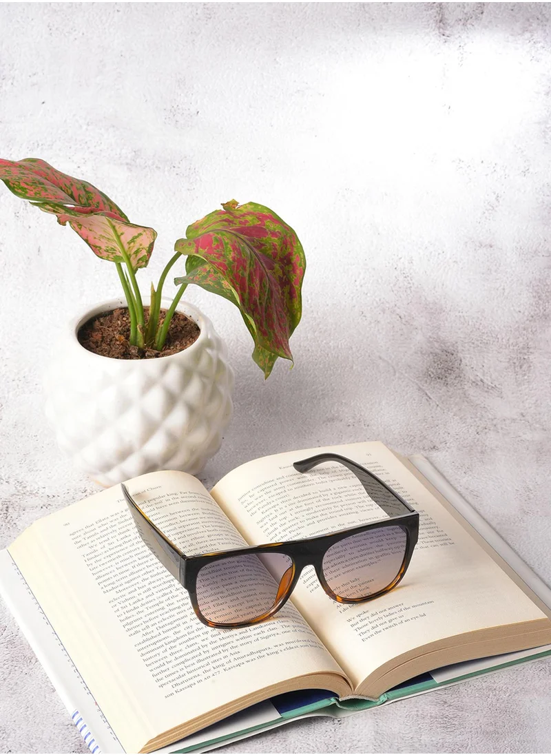 صوص هاوت Purple Lens Black Wayfarer Sunglasses