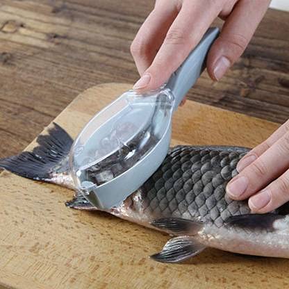 Fish Scale Scraper Sawtooth Descaler Cleaner Brush Shaver Remover Scale Knife Peeler Skin Peeler Fish Fish Scaler (Pack of 1)  - Image 3