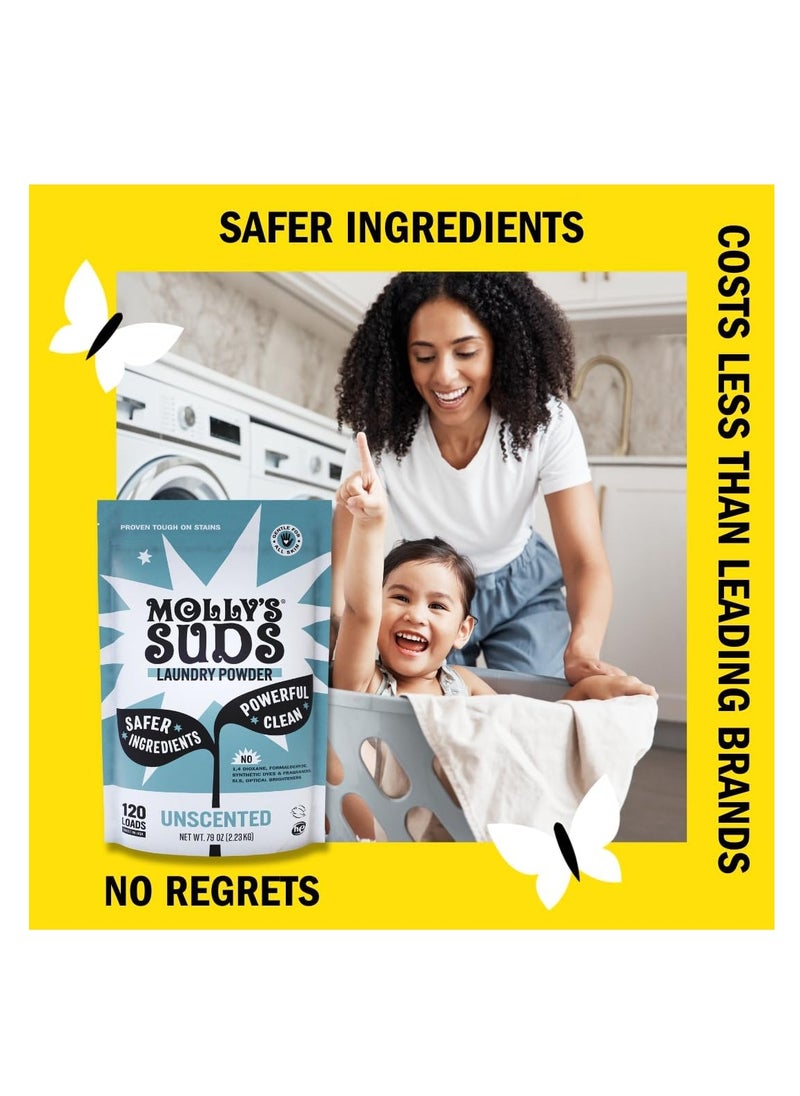 Molly's Suds Laundry Powder Unscented 47oz 1.3kg - pzsku/Z1A05EE3CB864EBED31EFZ/45/_/1724879580/0770dccd-98eb-4d35-b918-0bed25863254