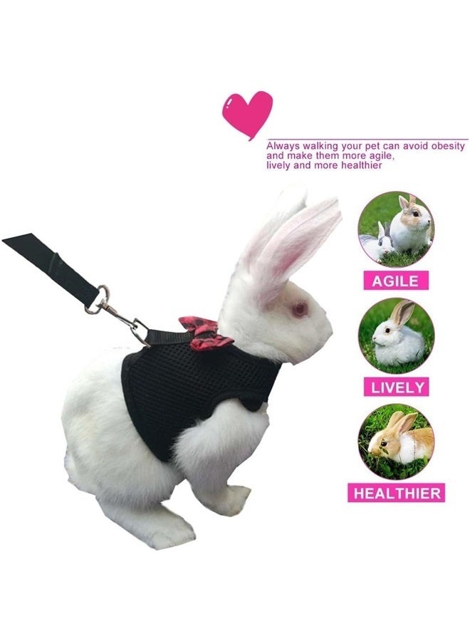 4pcs Multipurpose Rabbits Hamster Vest Harness with Leash Bunny Mesh Chest Strap Harnesses   Small Animals (L) - Image 5