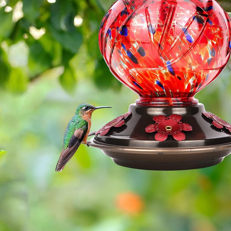 BOLITE Hummingbird Feeder, Hand Blown Glass Hummingbird Feeders for Outdoors Hanging, 22 Ounce, 5 Feeding Ports with Perch, Peony Flower Shape, 24001R Red - Image 3