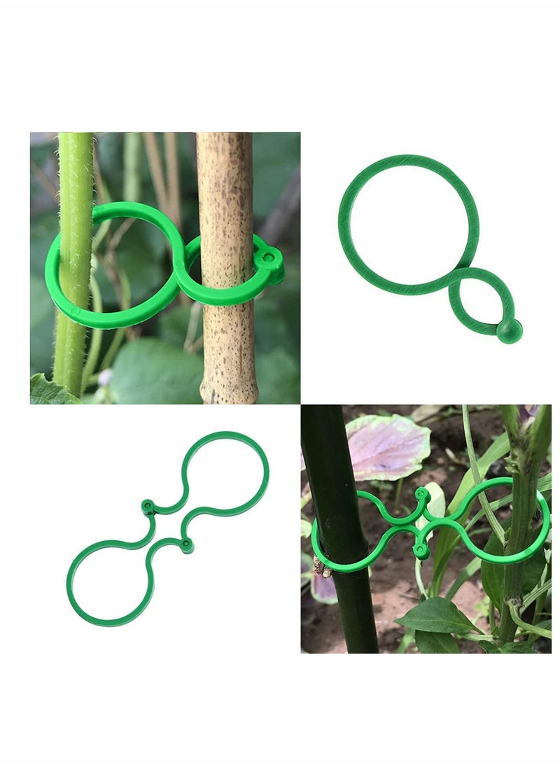 Y&D Plant Support Clips, 100PCS Garden Tomato Vegetables Vine Flower Locks for Securing Climbing Plants, Green  - Image 2