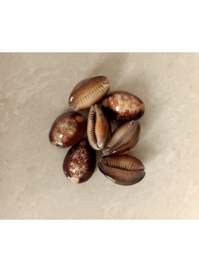 Techno Traditional The Indian Ludo Game, Chausar Game Plays Since Mahabaharat, Chausar Game Baap of All Board Game Chopat is an Indian Ludo Game (Pachisi / Ludo / Indian Ludo / chausar),color black - Image 4