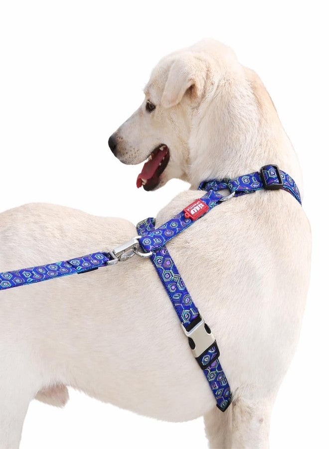 Zigly Lifestyle Disco Dog Harness - Body Belt for Dogs with Adjustable Buckle - Soft and Comfortable with Sturdy Handle - Small - Image 1