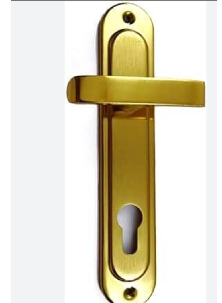 Queen door handle, golden handle for an apartment door 