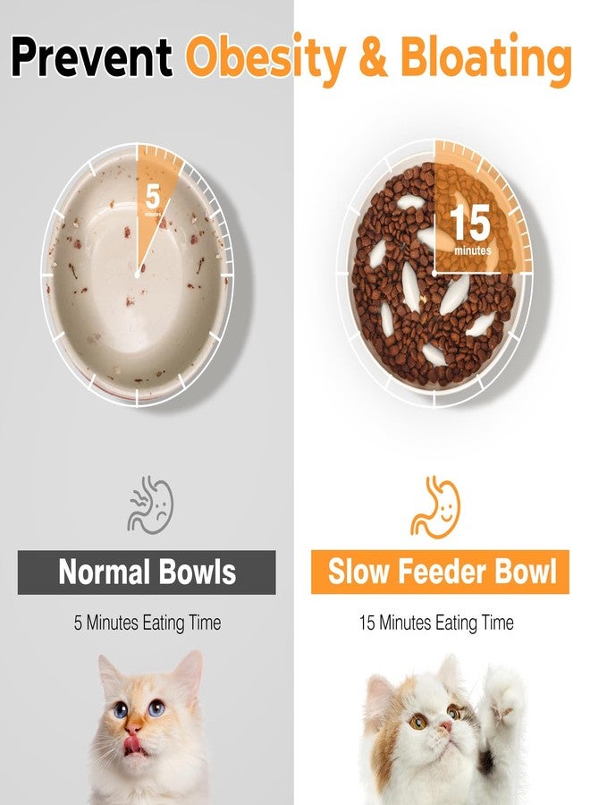 tchrules Cat Slow Feeder Bowl, Cat Food Bowl with Fish Pool Design, Healthy Eating Diet Pet Bowl, Interactive Puzzle Feeder Dish for Cats, Non-Slip Anti Gulping Cat Bowl for Dry and Wet Food - Image 5