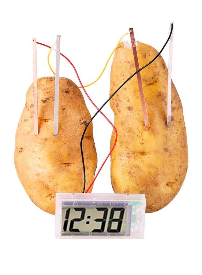 Potato Clock DIY Green Science Kit - Build a Functional Vegetable-Powered Clock	STEM Electrochemistry Experiment with Copper/Zinc Electrodes & Mini Clock Motor - Image 1