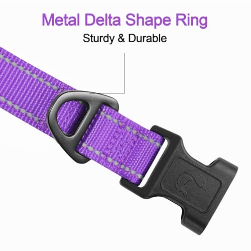 Joytale Reflective Dog Collar, Soft Neoprene Padded, Metal D-Ring, Nylon Pet Collar Adjustable for Puppy and Small Dogs, Purple, XS - Image 3